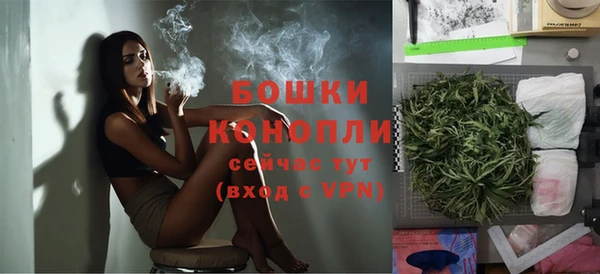 гидра Вязники