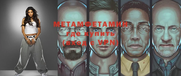 индика Вяземский
