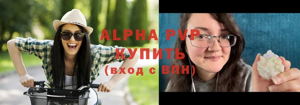 PSILOCYBIN Вязьма
