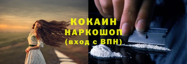 индика Вяземский