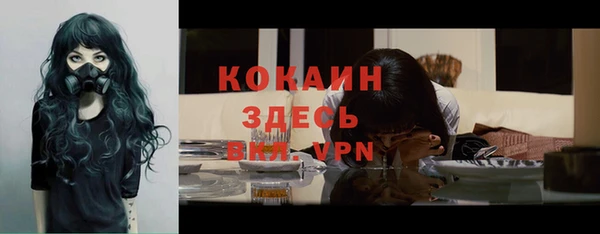 гидра Вязники