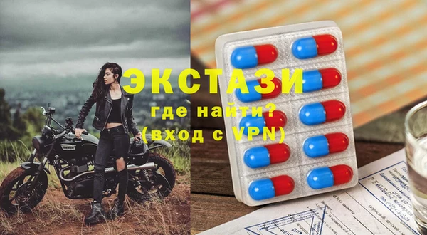 индика Вяземский