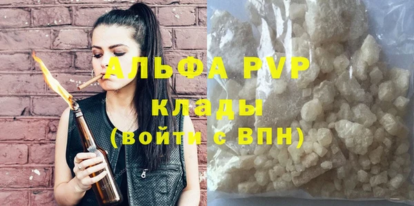 индика Вяземский