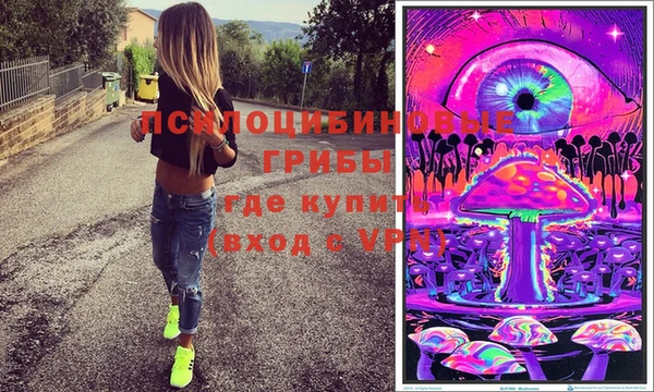 PSILOCYBIN Вязьма