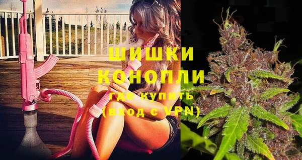 индика Вяземский