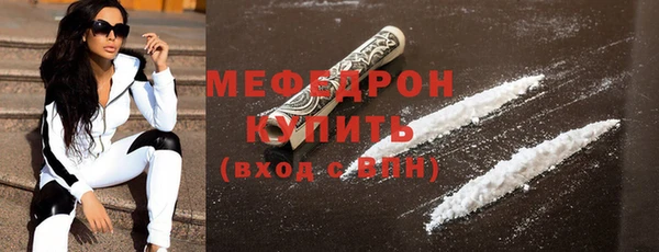индика Вяземский