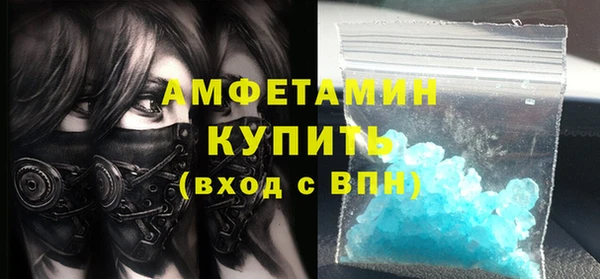 индика Вяземский
