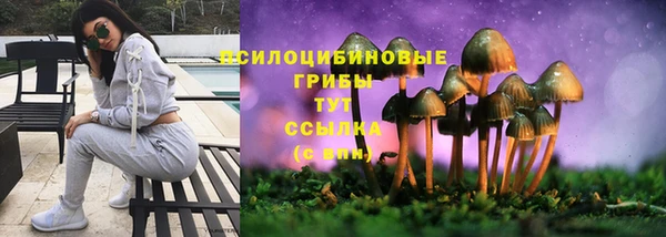 тгк Волоколамск