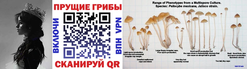 Галлюциногенные грибы мицелий  как найти закладки  кракен сайт  Салават 